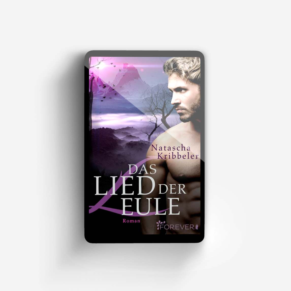 Buchcover von Das Lied der Eule (Jandor der Vampir 4)