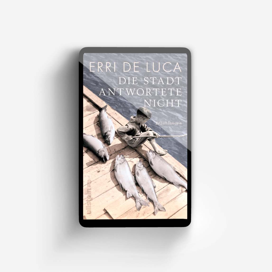 Buchcover von Die Stadt antwortete nicht