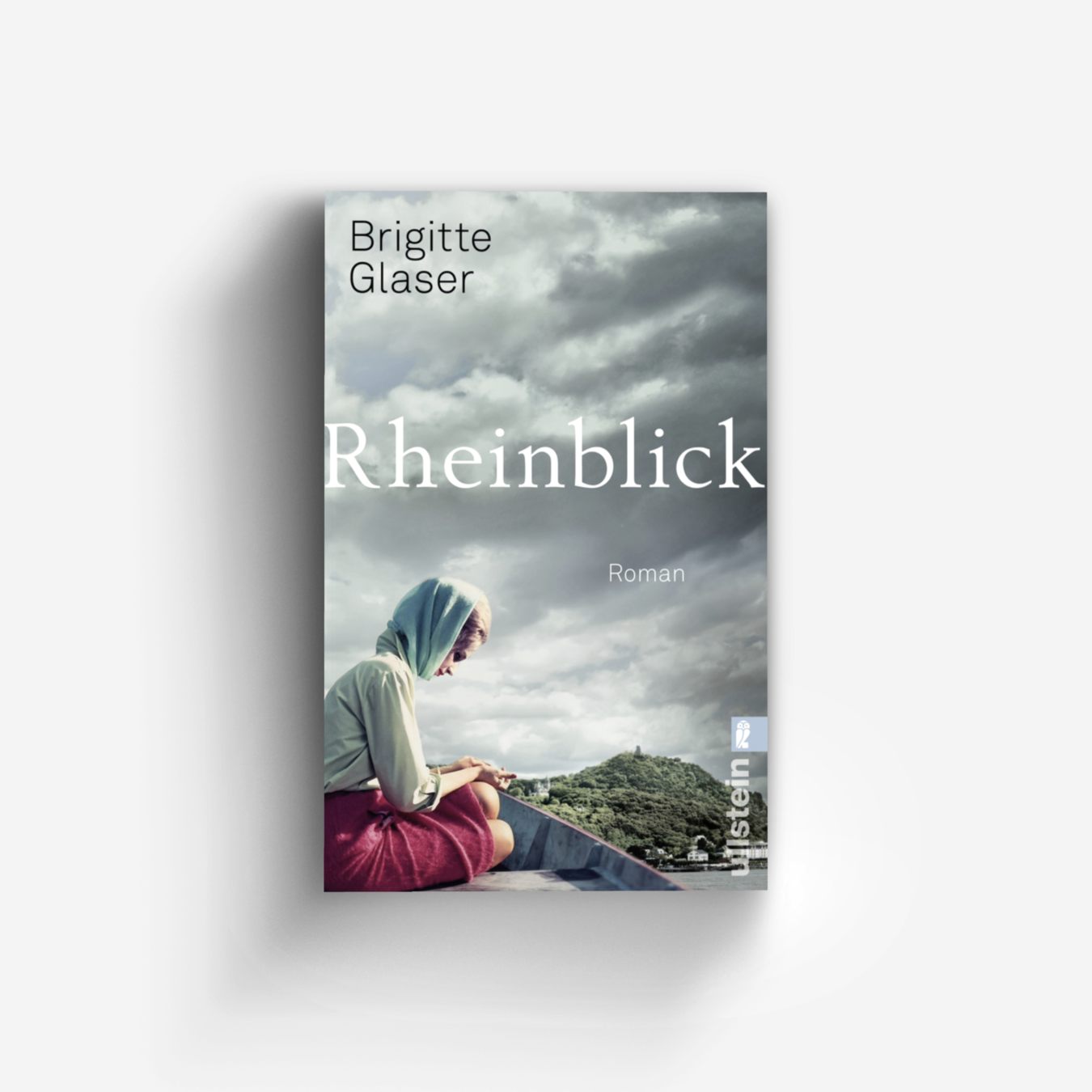 Buchcover von Rheinblick