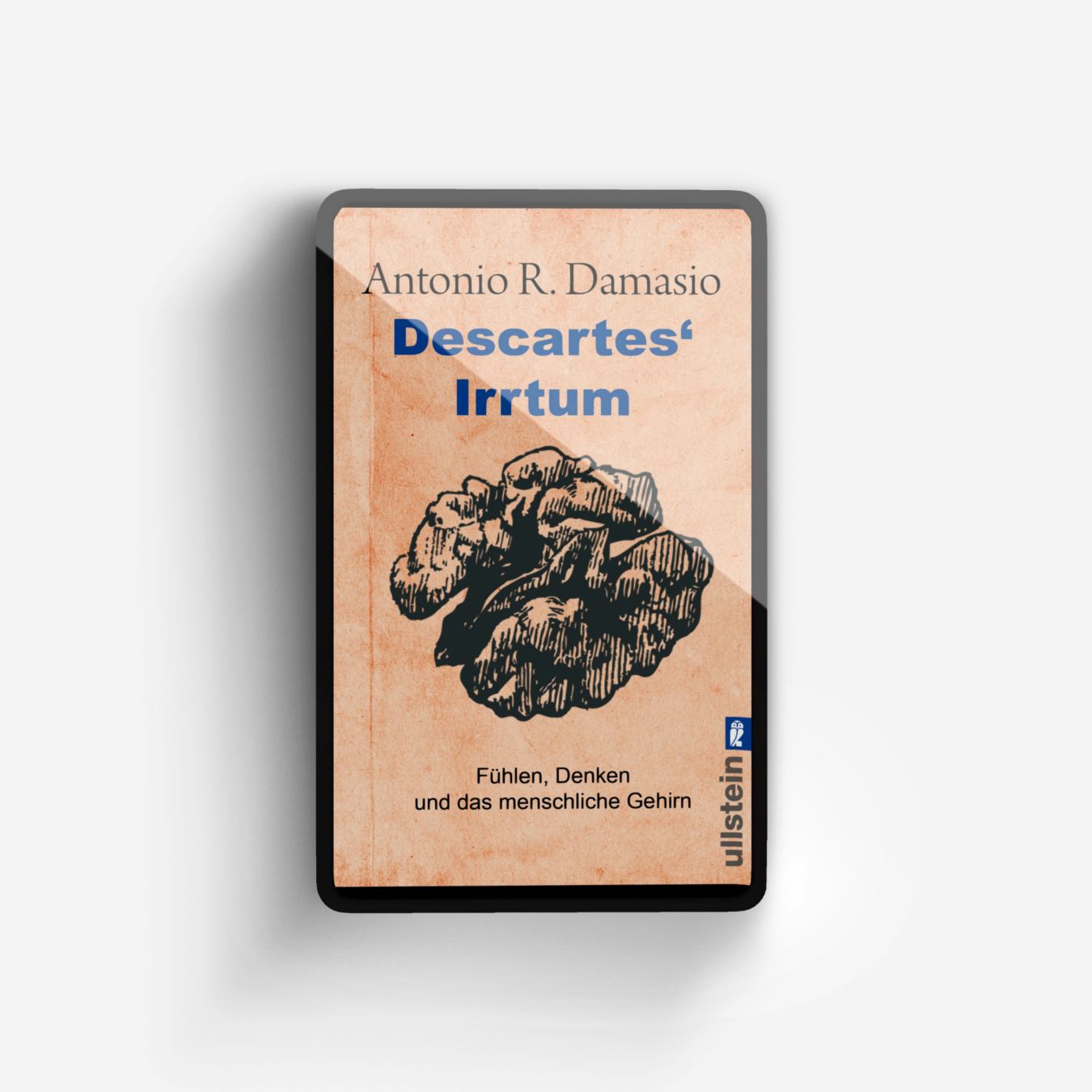 Buchcover von Descartes' Irrtum
