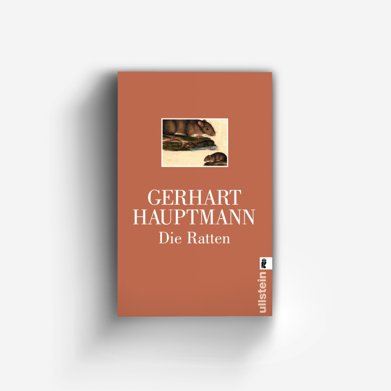 Buchcover von Die Ratten