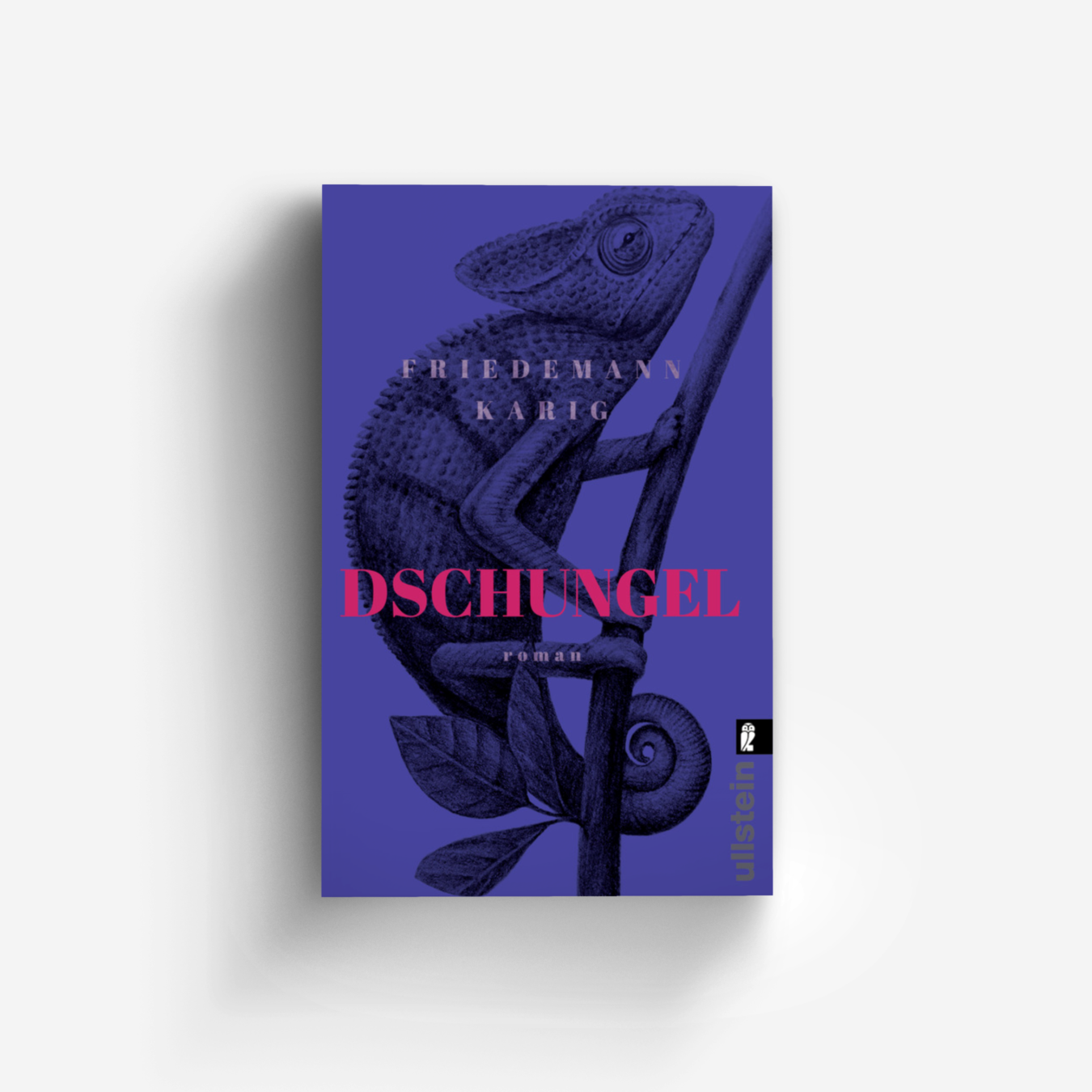 Buchcover von Dschungel