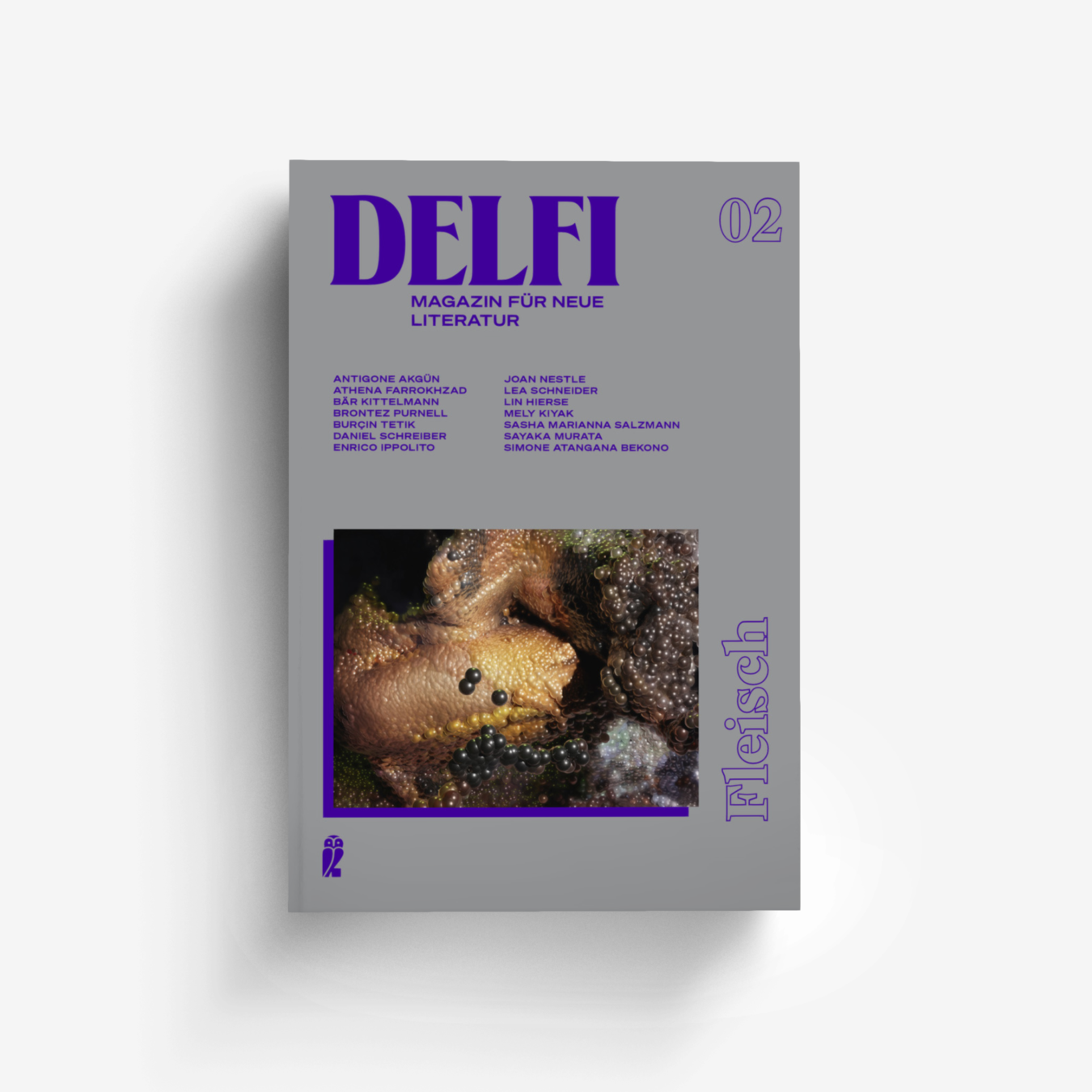 Buchcover von Delfi Fleisch (Delfi 2)