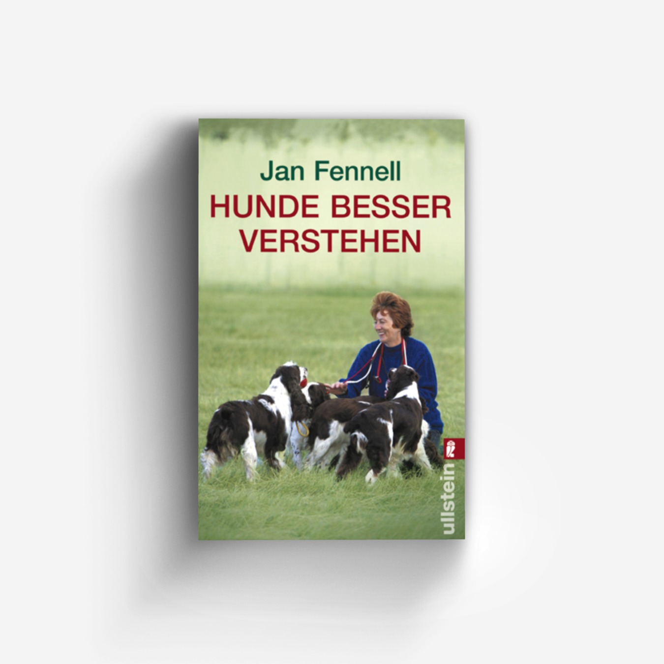 Buchcover von Hunde besser verstehen