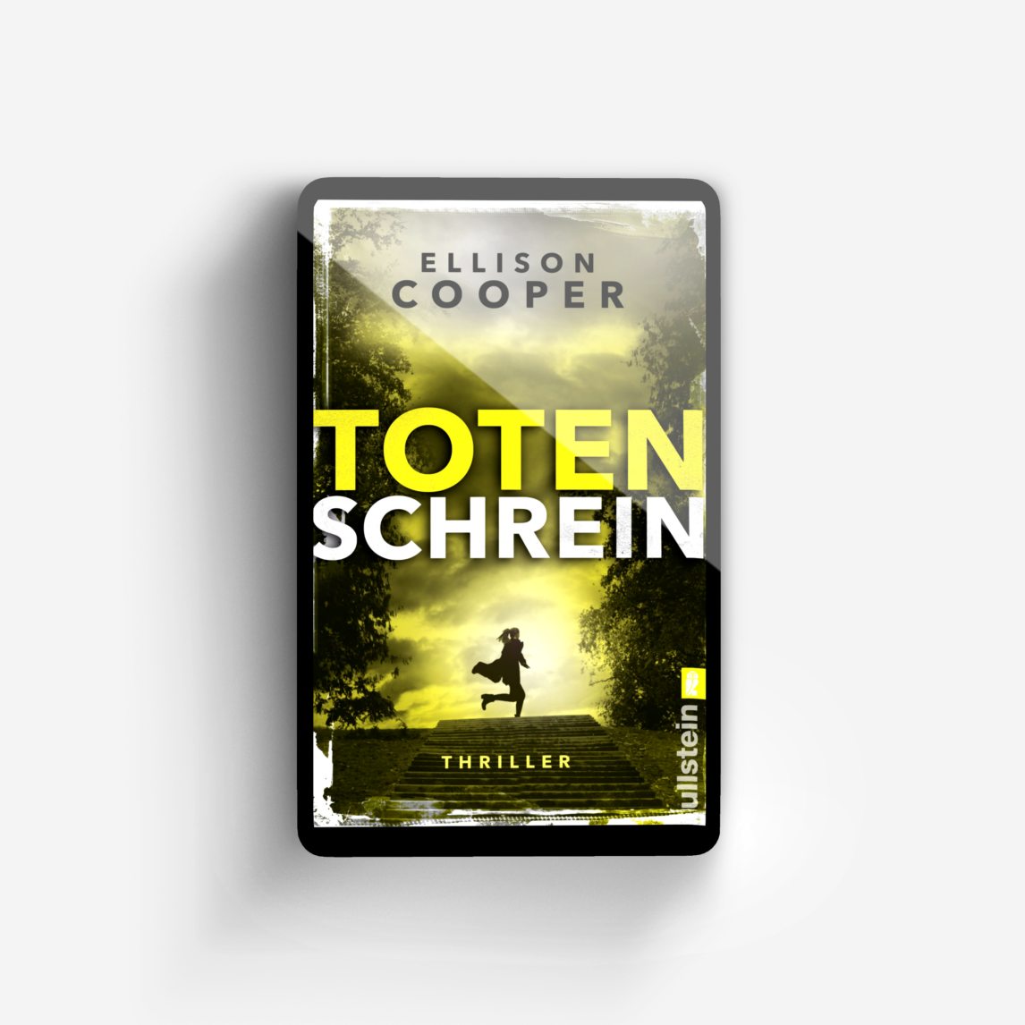 Buchcover von Totenschrein (Ein Sayer-Altair-Thriller 3)