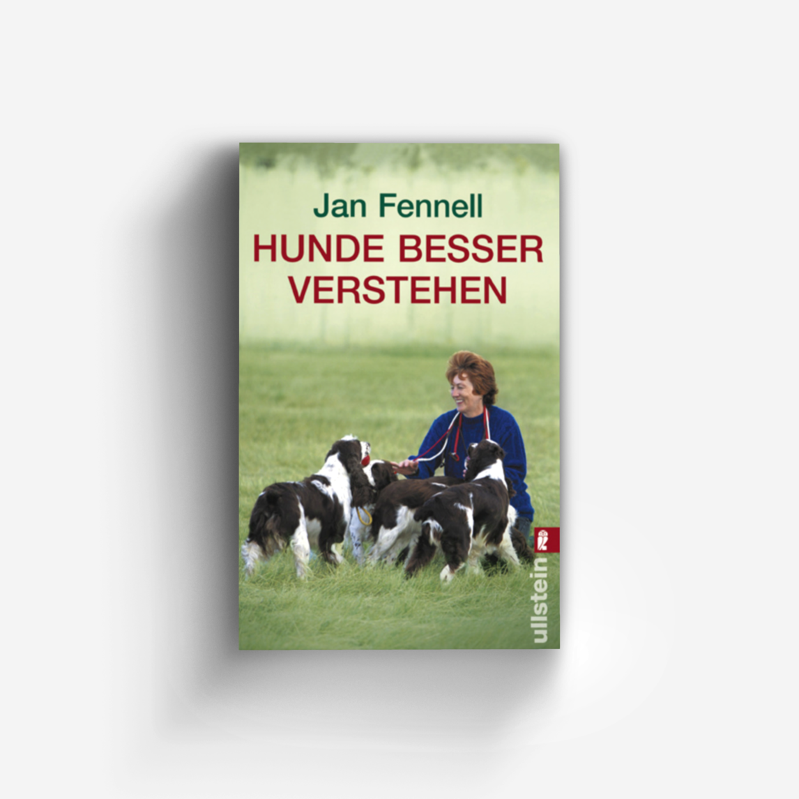 Buchcover von Hunde besser verstehen