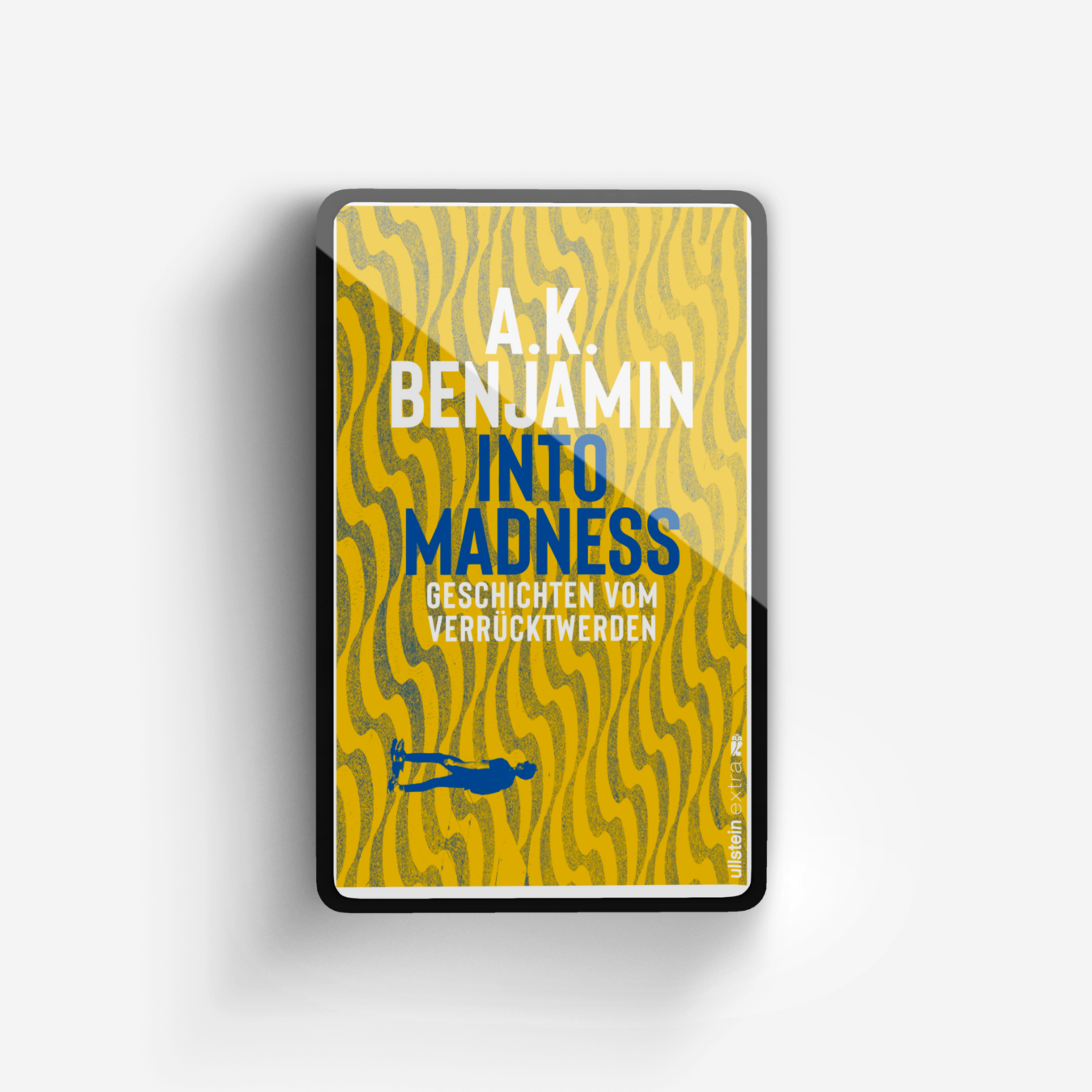 Buchcover von Into madness