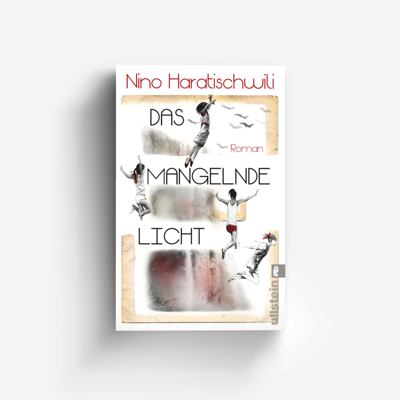 Buchcover von Das mangelnde Licht
