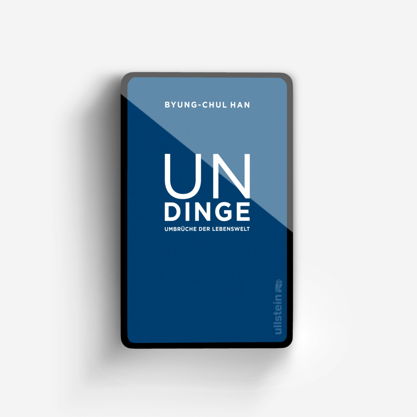 Buchcover von Undinge