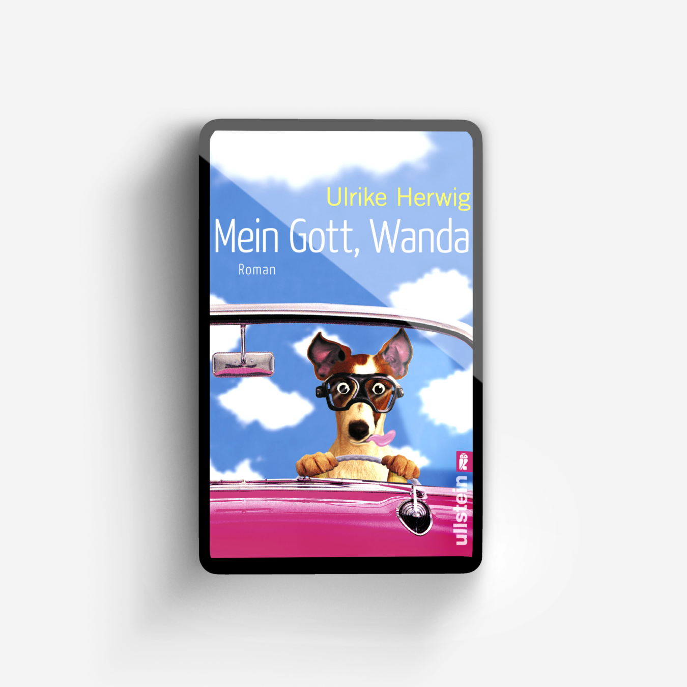 Buchcover von Mein Gott, Wanda