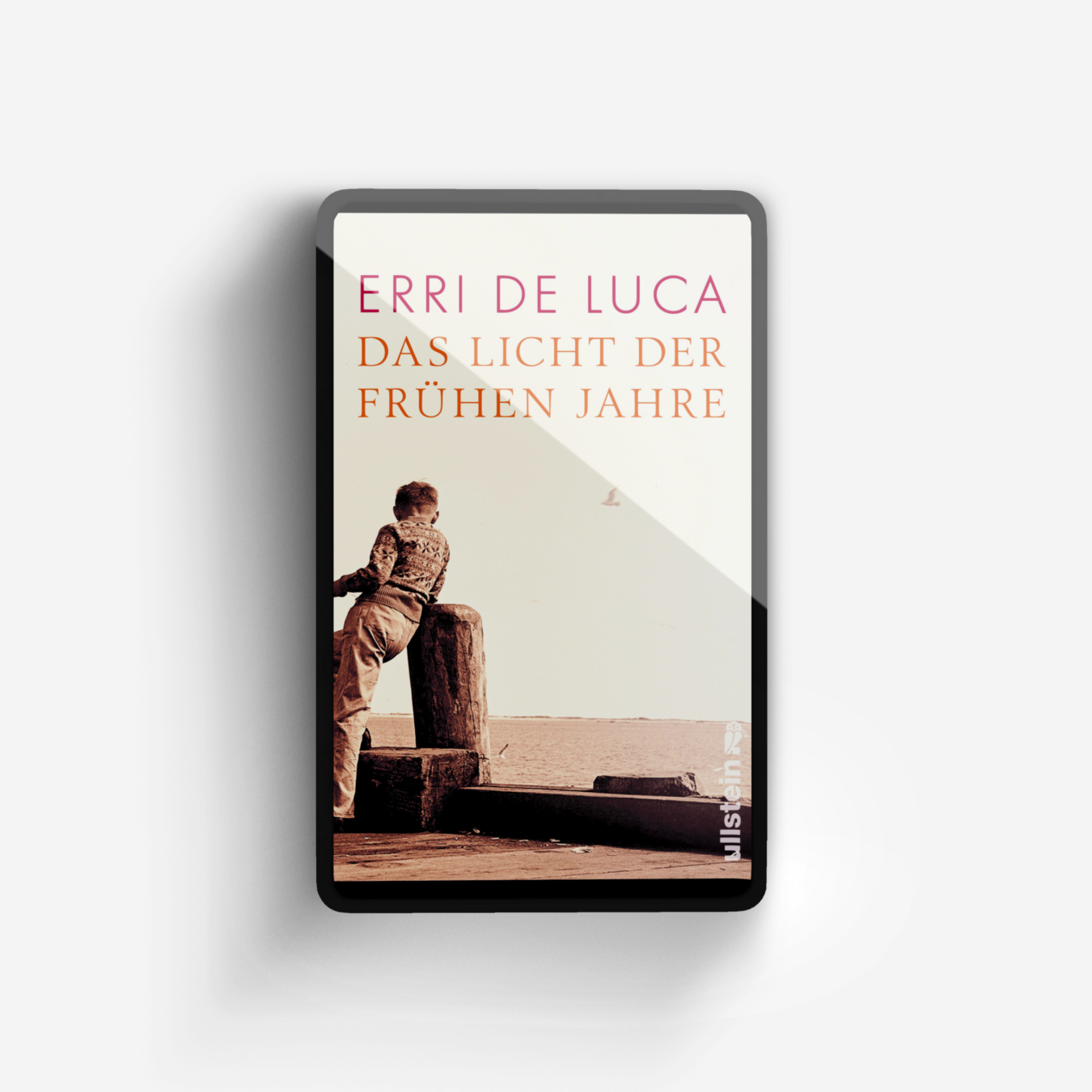 Buchcover von Das Licht der frühen Jahre