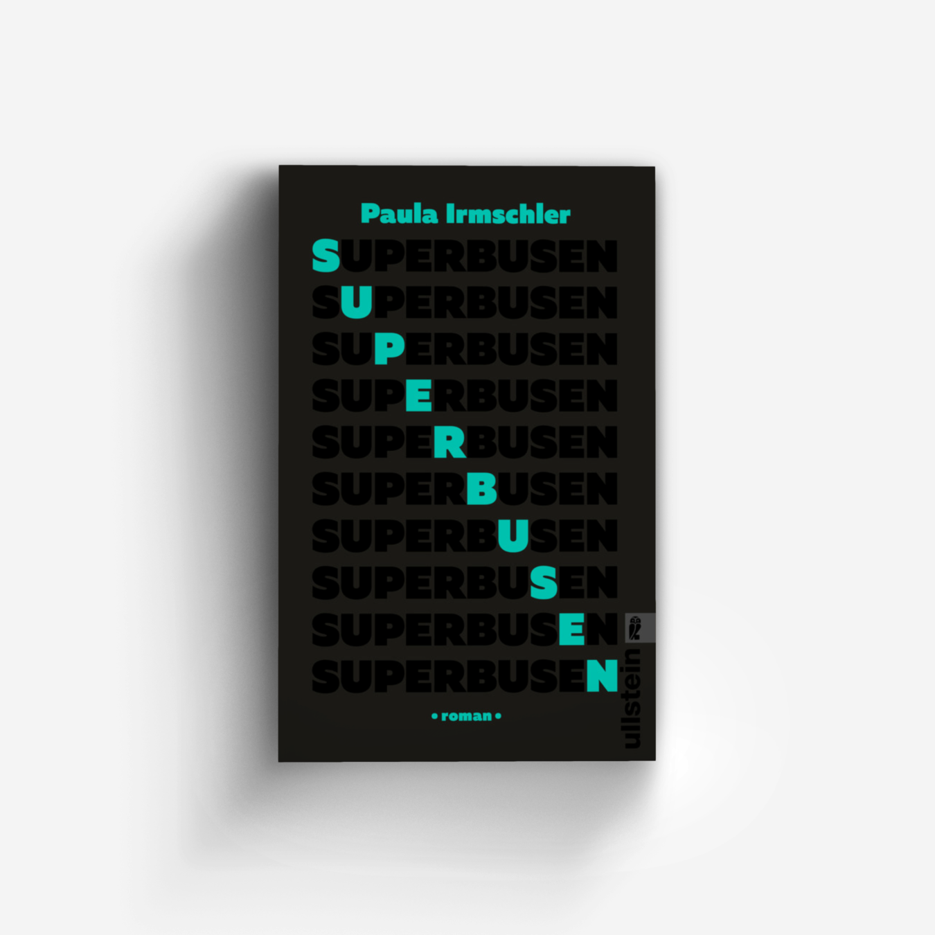 Buchcover von Superbusen