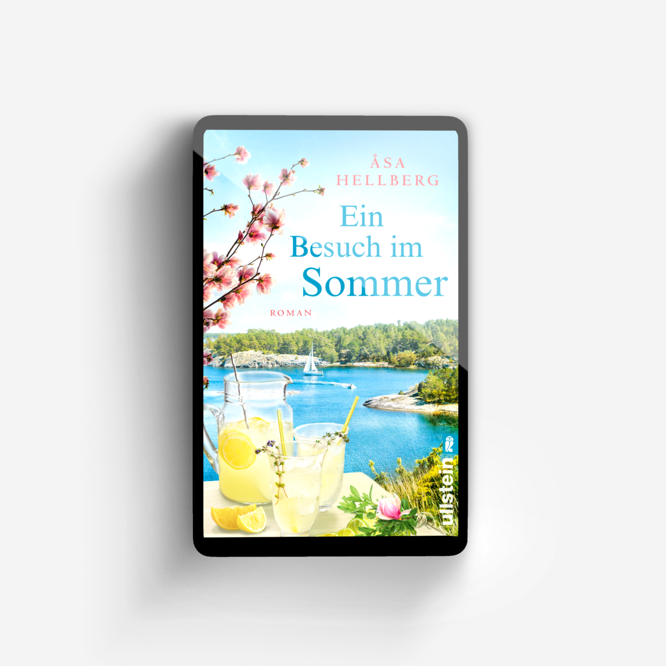 Buchcover von Ein Besuch im Sommer