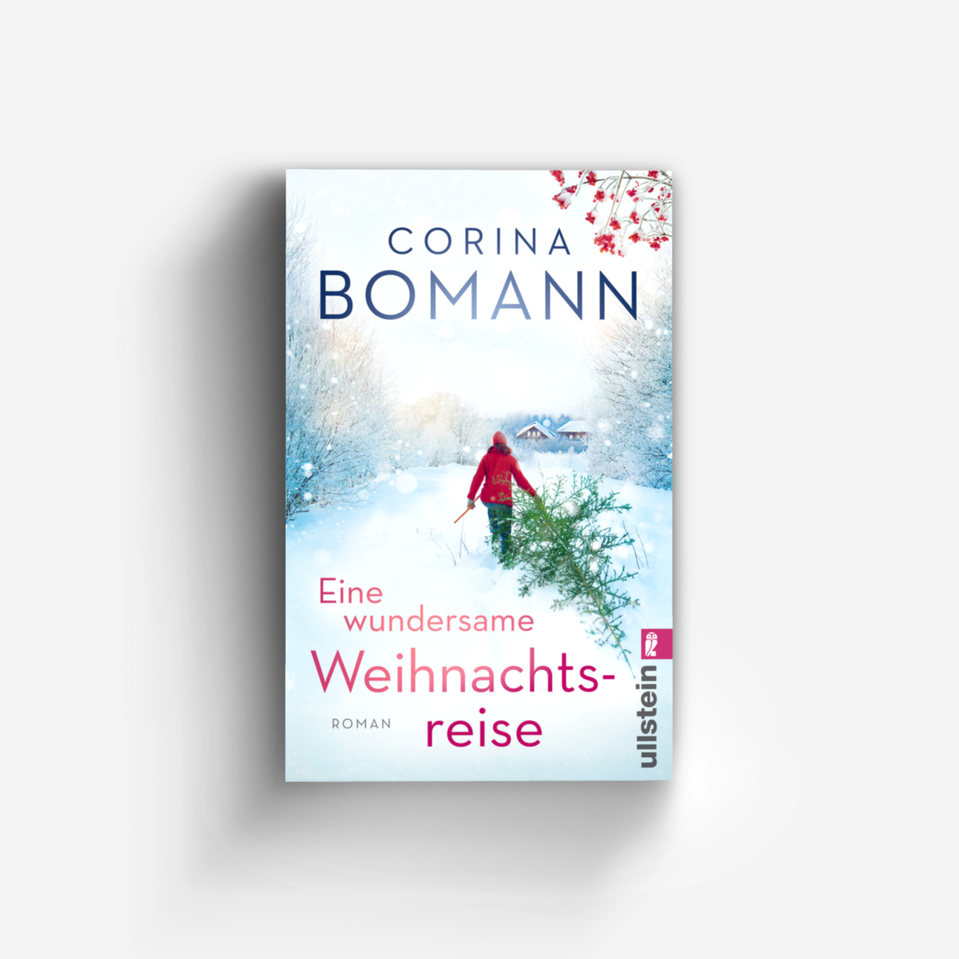 Buchcover von Eine wundersame Weihnachtsreise