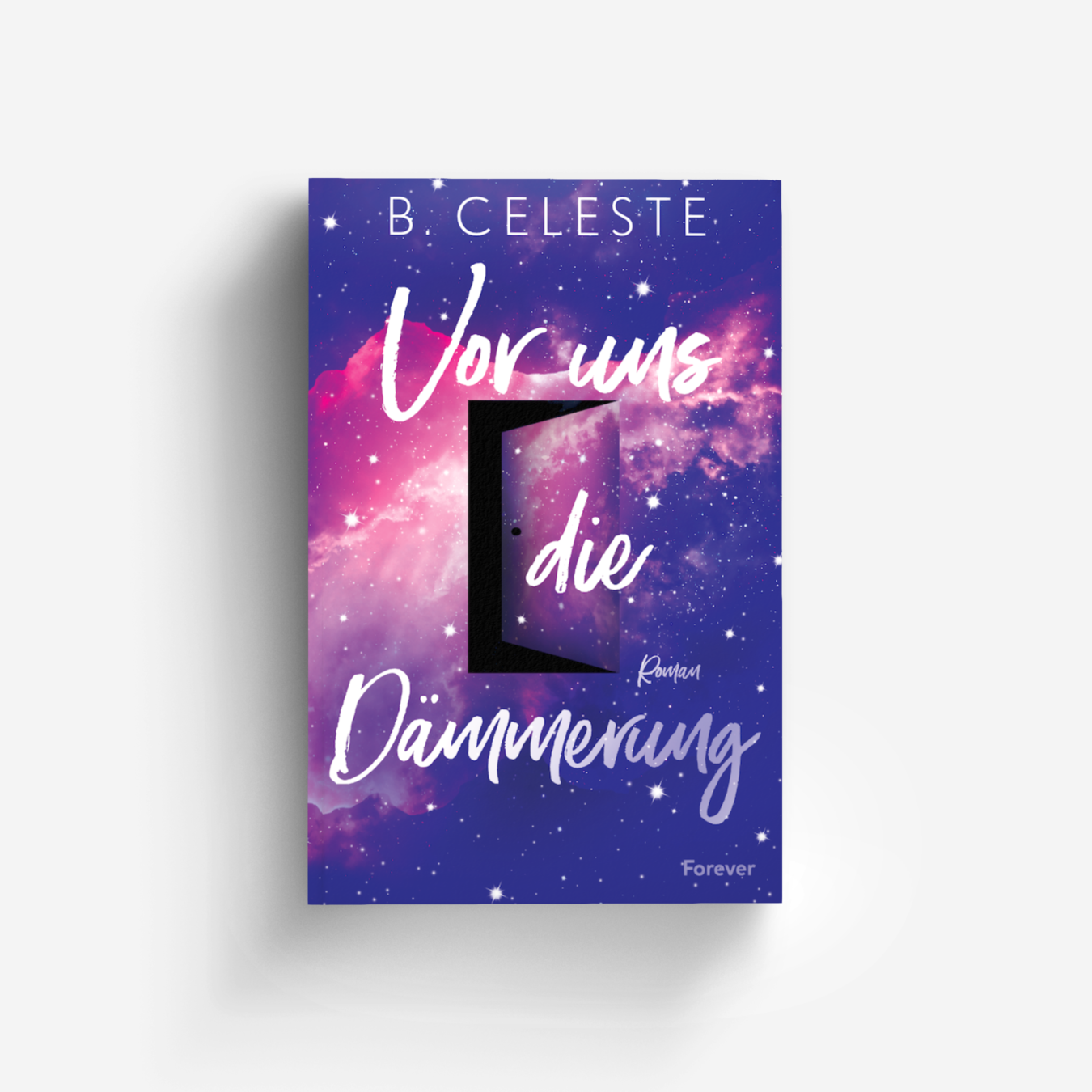 Buchcover von Vor uns die Dämmerung