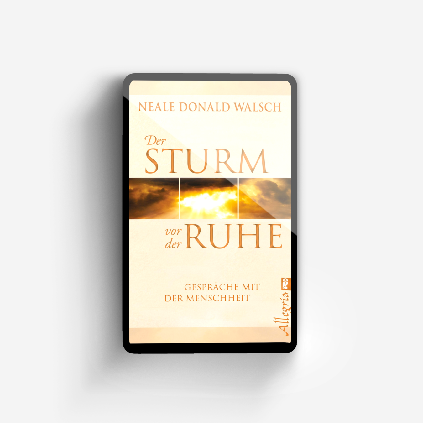 Buchcover von Der Sturm vor der Ruhe