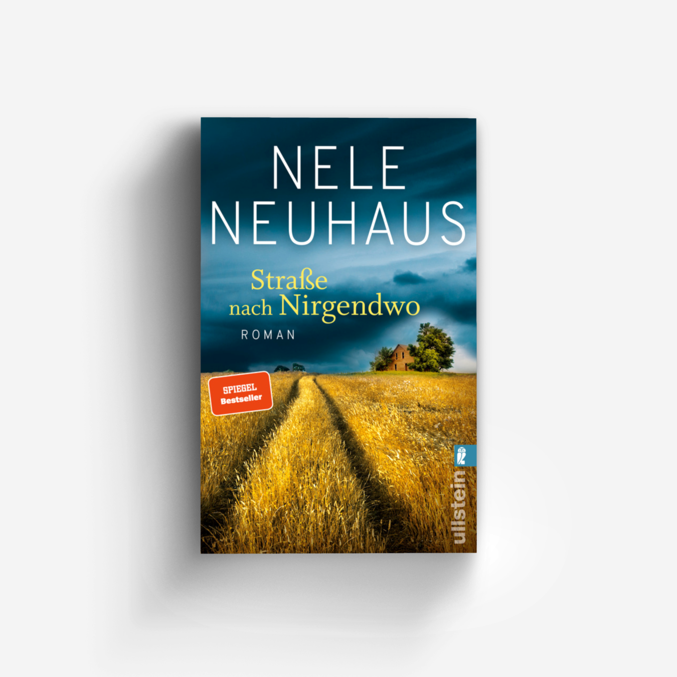 Buchcover von Straße nach Nirgendwo (Sheridan-Grant-Serie 2)