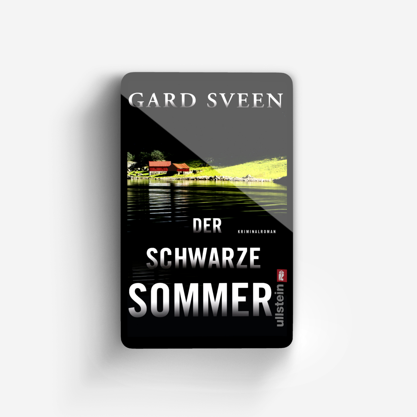 Buchcover von Der schwarze Sommer (Ein Fall für Tommy Bergmann 5)