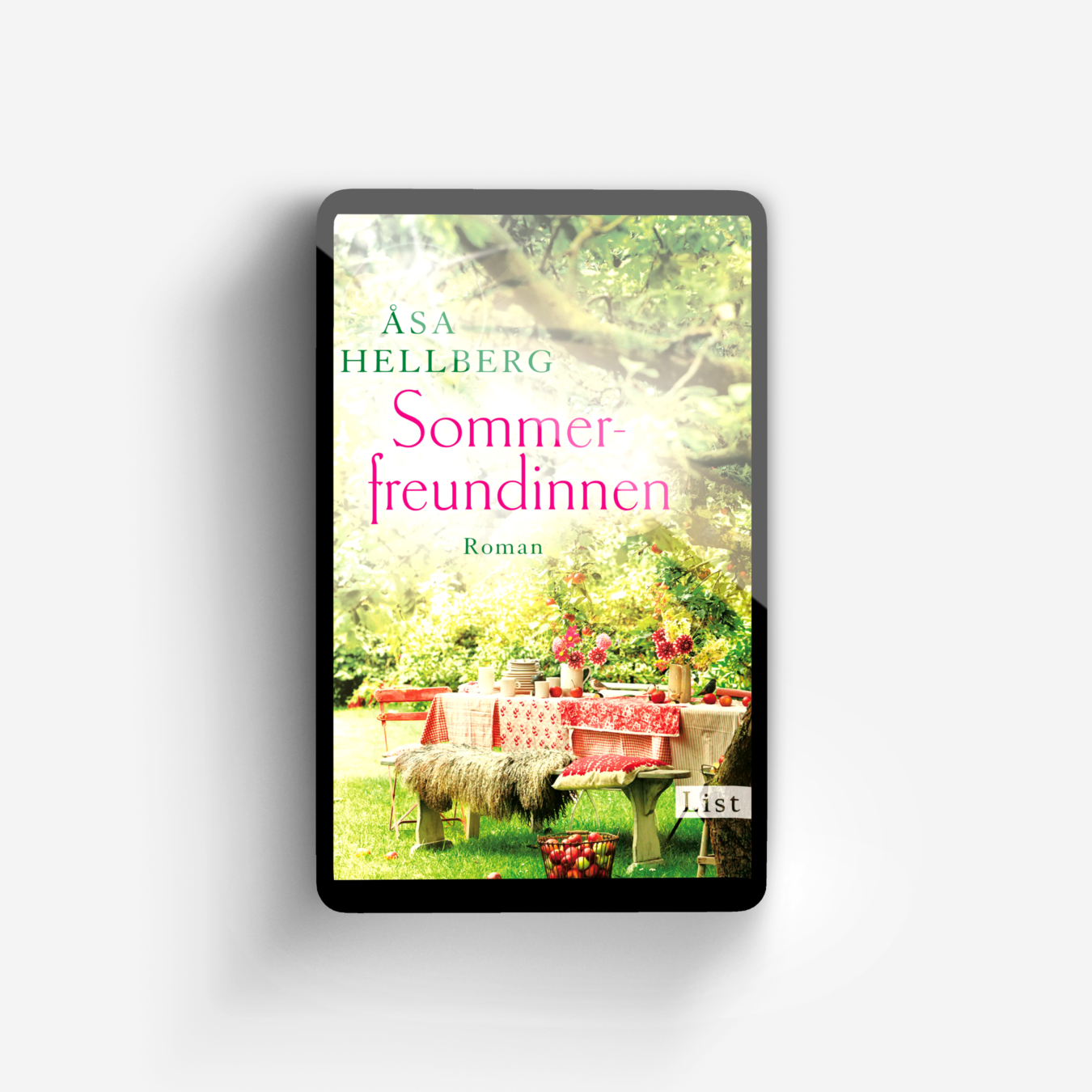 Buchcover von Sommerfreundinnen