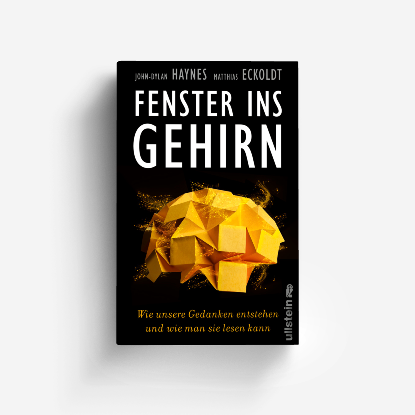 Buchcover von Fenster ins Gehirn