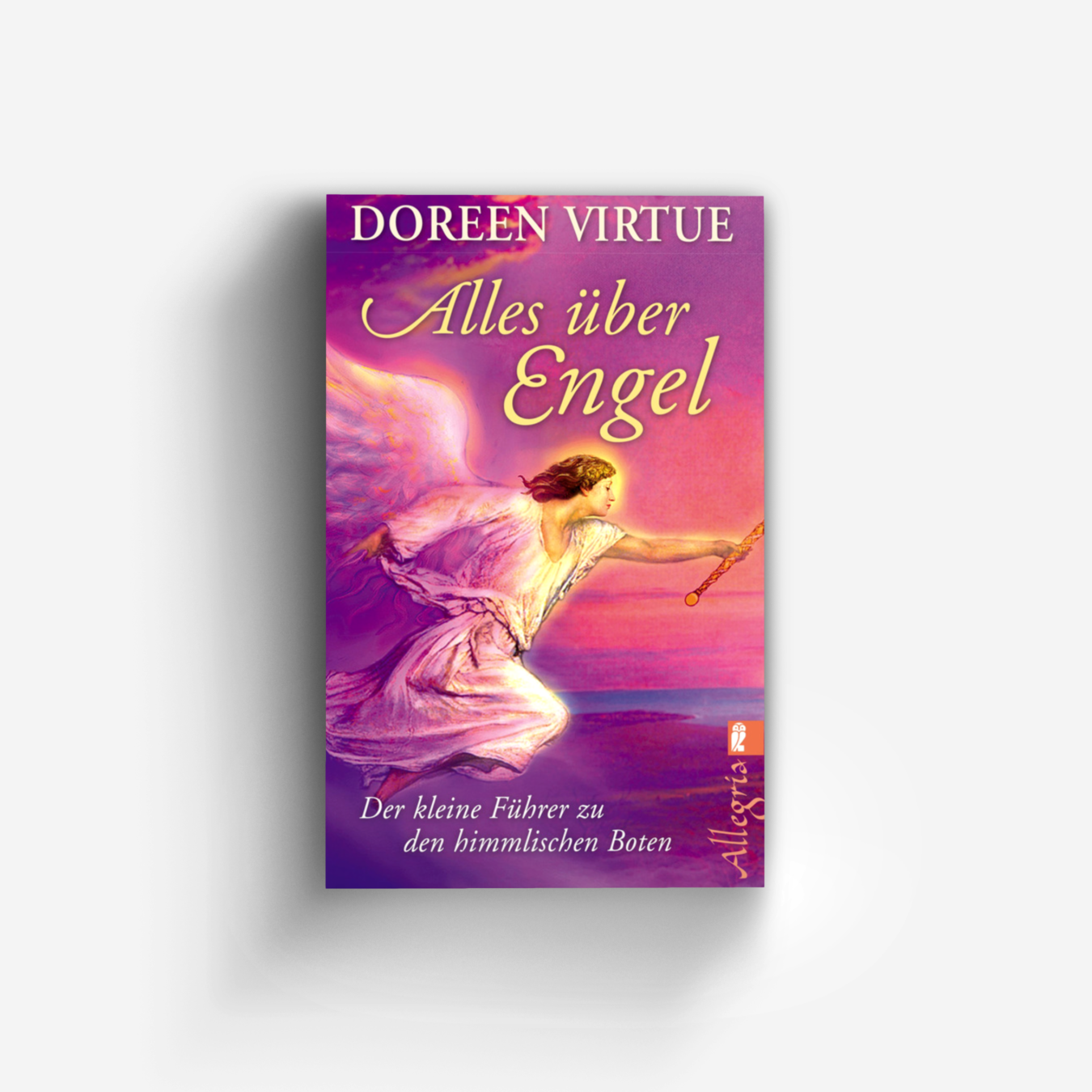 Buchcover von Alles über Engel