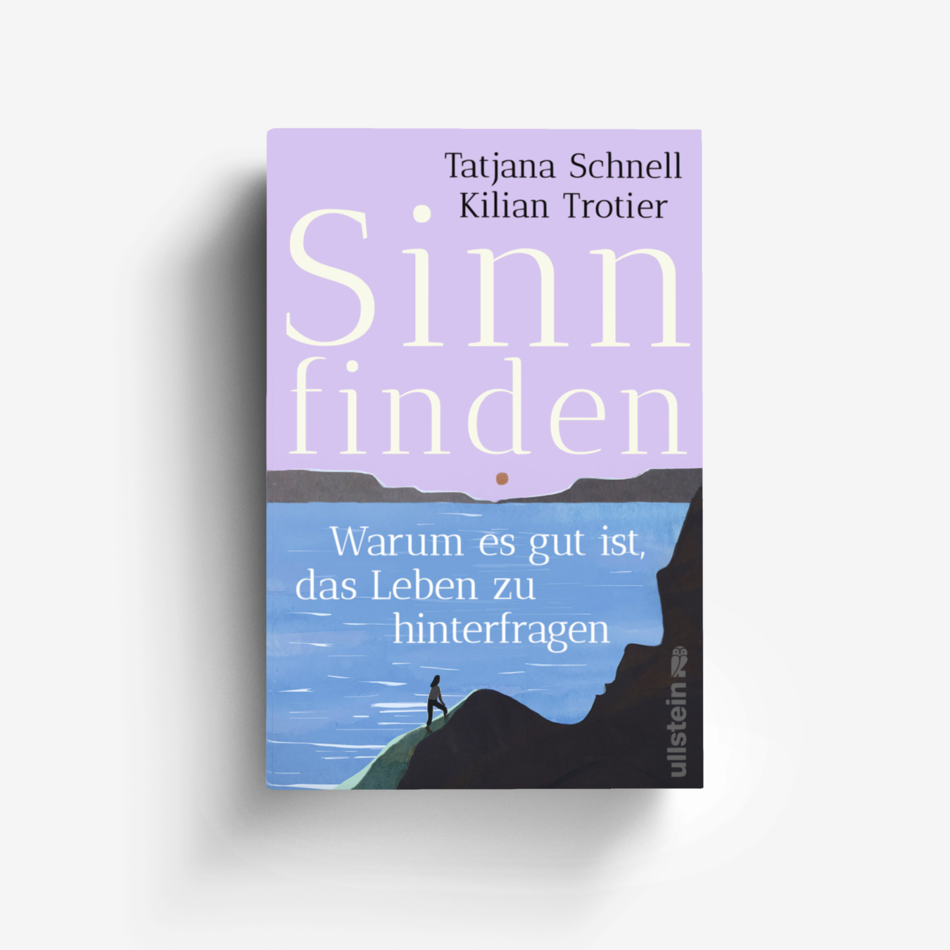 Buchcover von Sinn finden