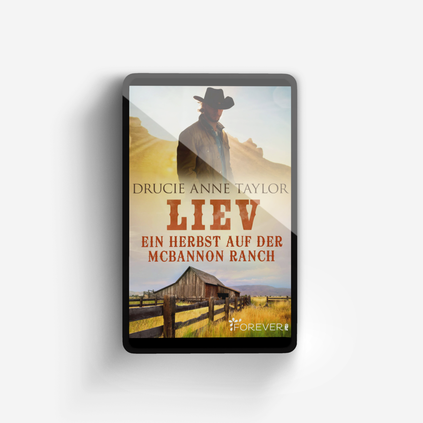 Buchcover von Liev (McBannon-Brothers 2)