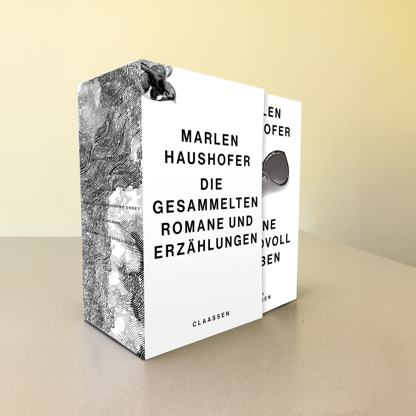 Buchcover von Marlen Haushofer: Die gesammelten Romane und Erzählungen