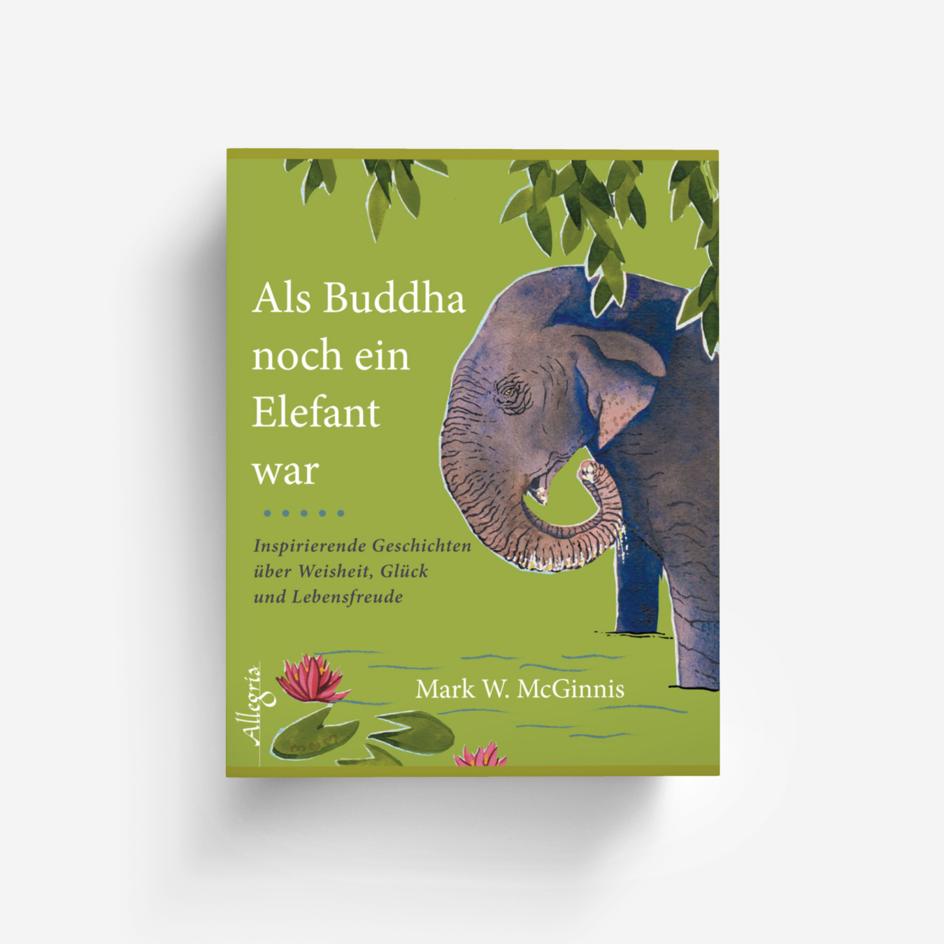 Buchcover von Als Buddha noch ein Elefant war