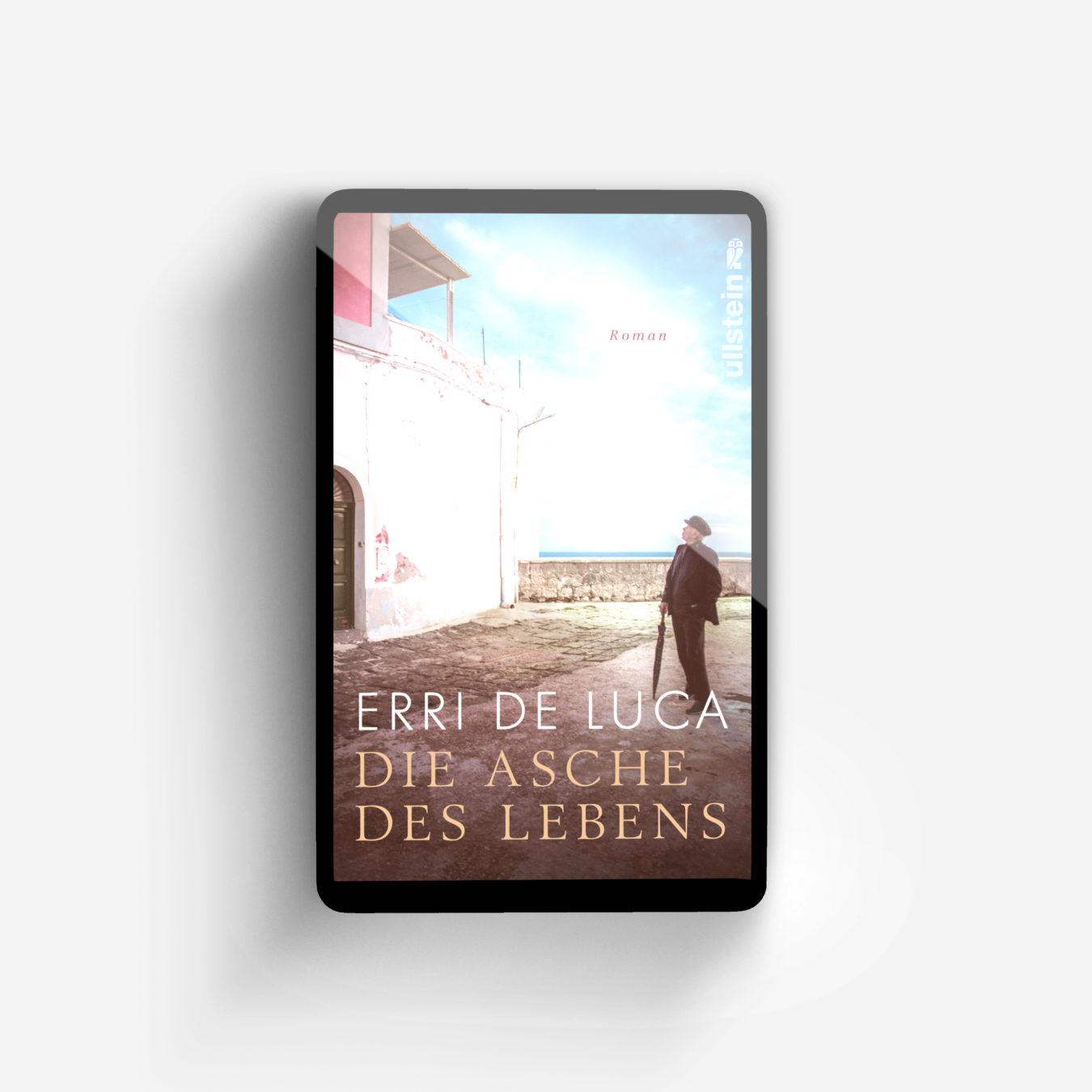 Buchcover von Die Asche des Lebens