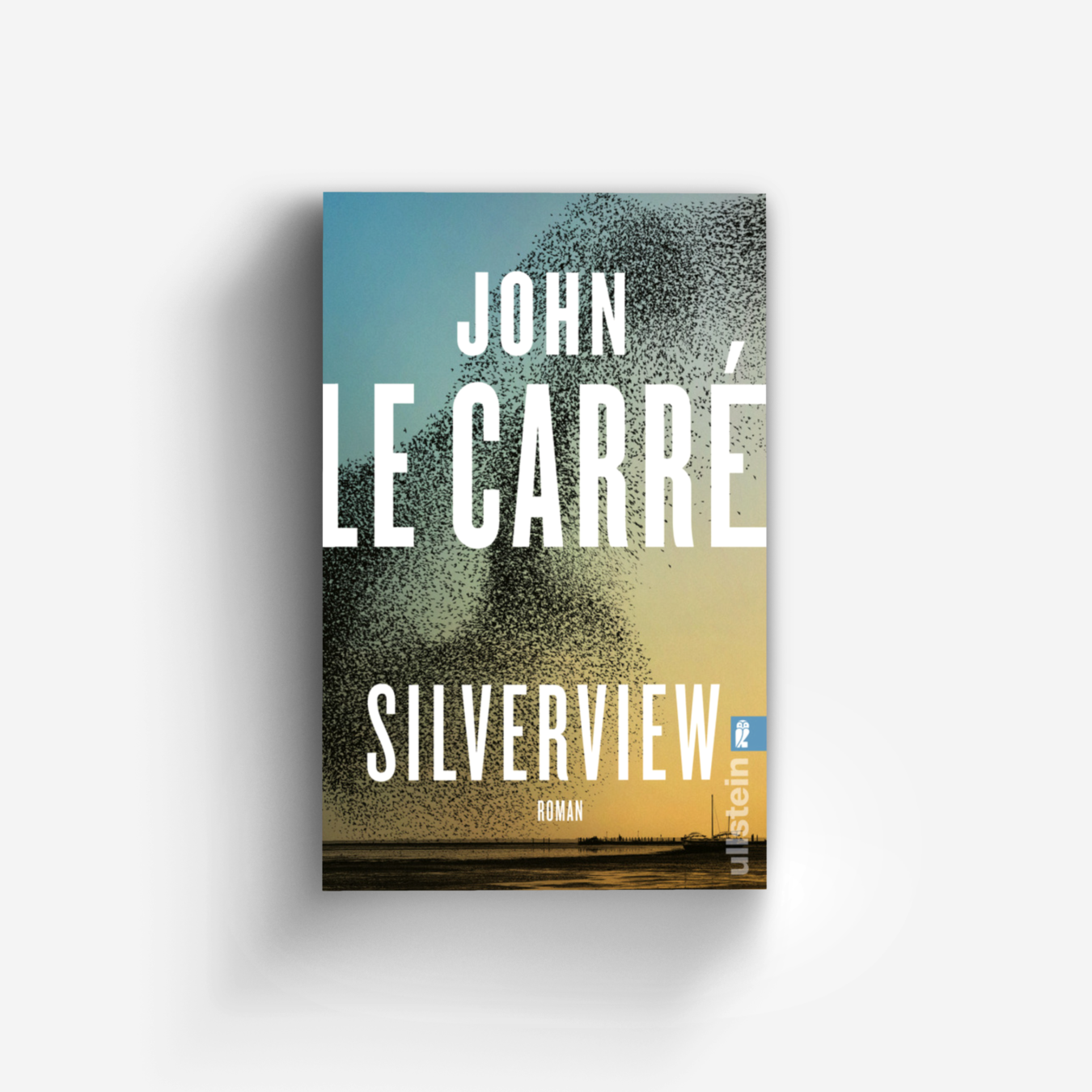 Buchcover von Silverview