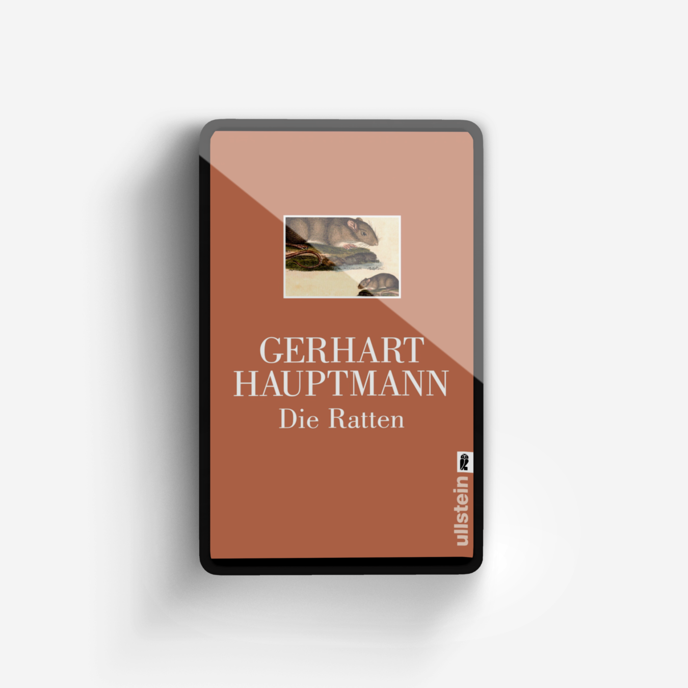 Buchcover von Die Ratten