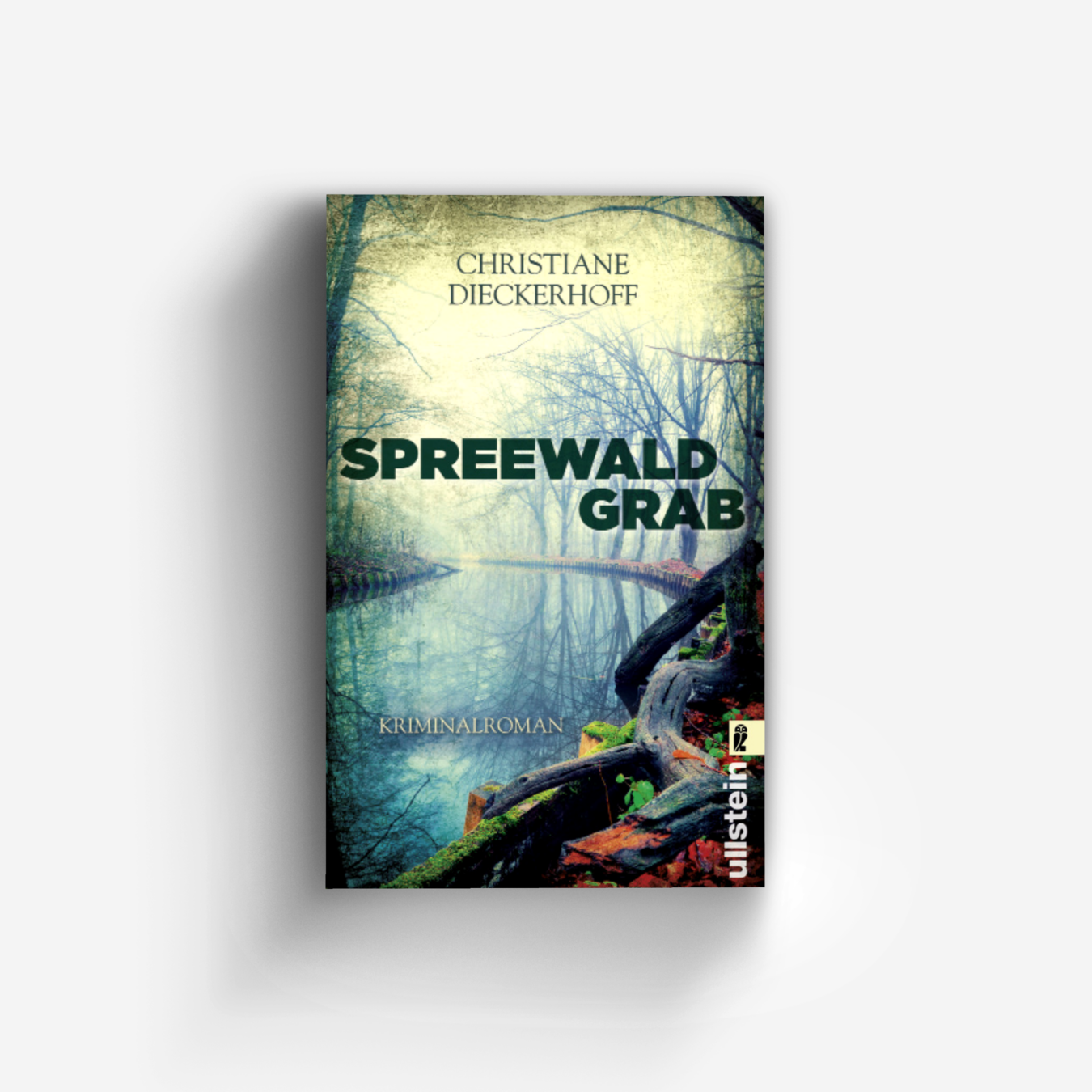 Buchcover von Spreewaldgrab (Ein-Fall-für-Klaudia-Wagner 1)