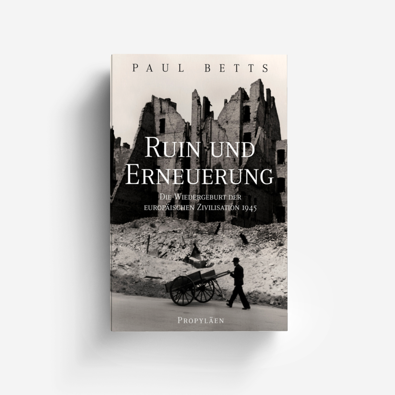 Buchcover von Ruin und Erneuerung