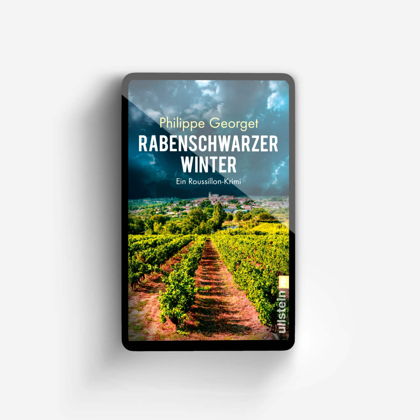 Buchcover von Rabenschwarzer Winter (Roussillon-Krimi 3)