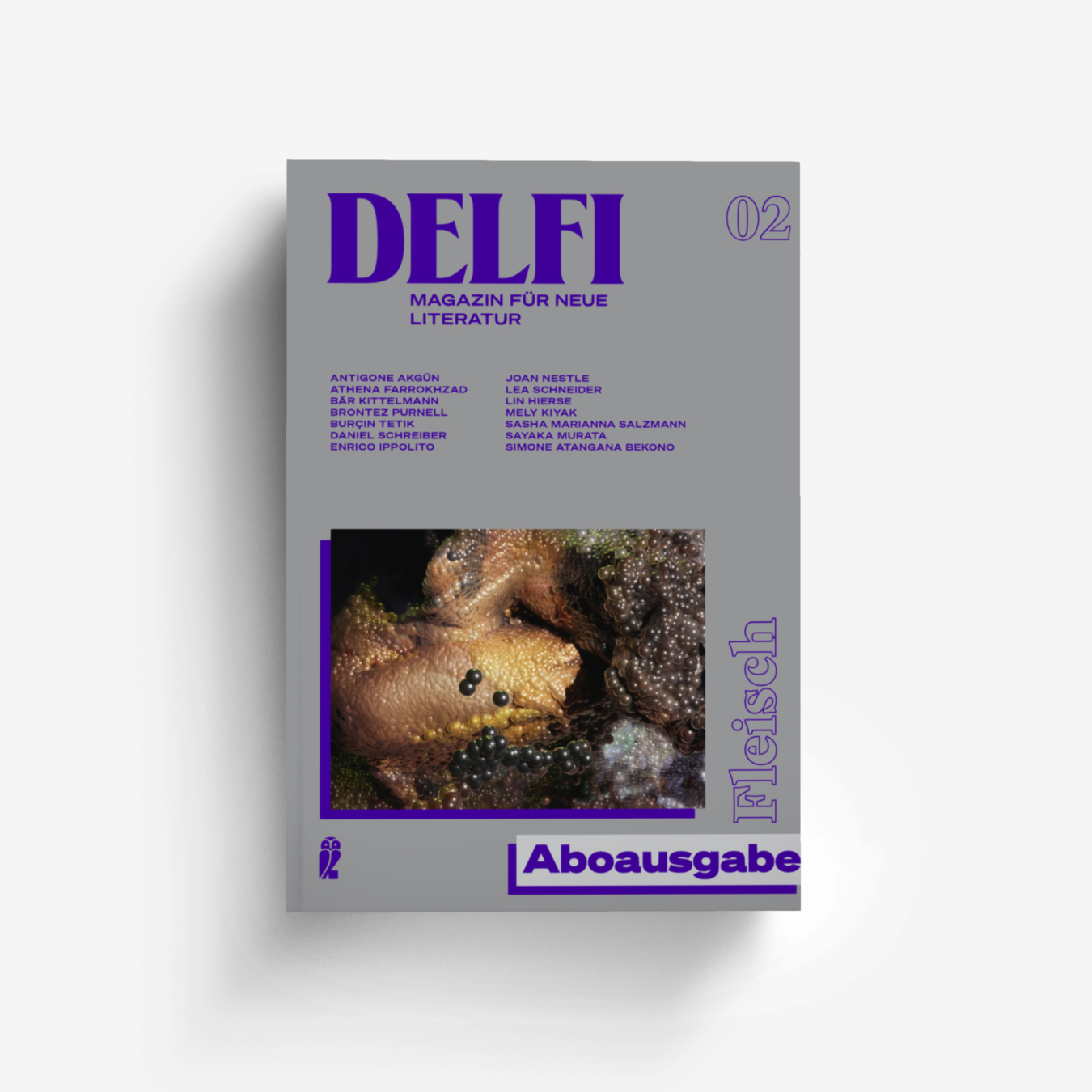 Buchcover von Delfi Fleisch - Aboausgabe (Delfi 2)