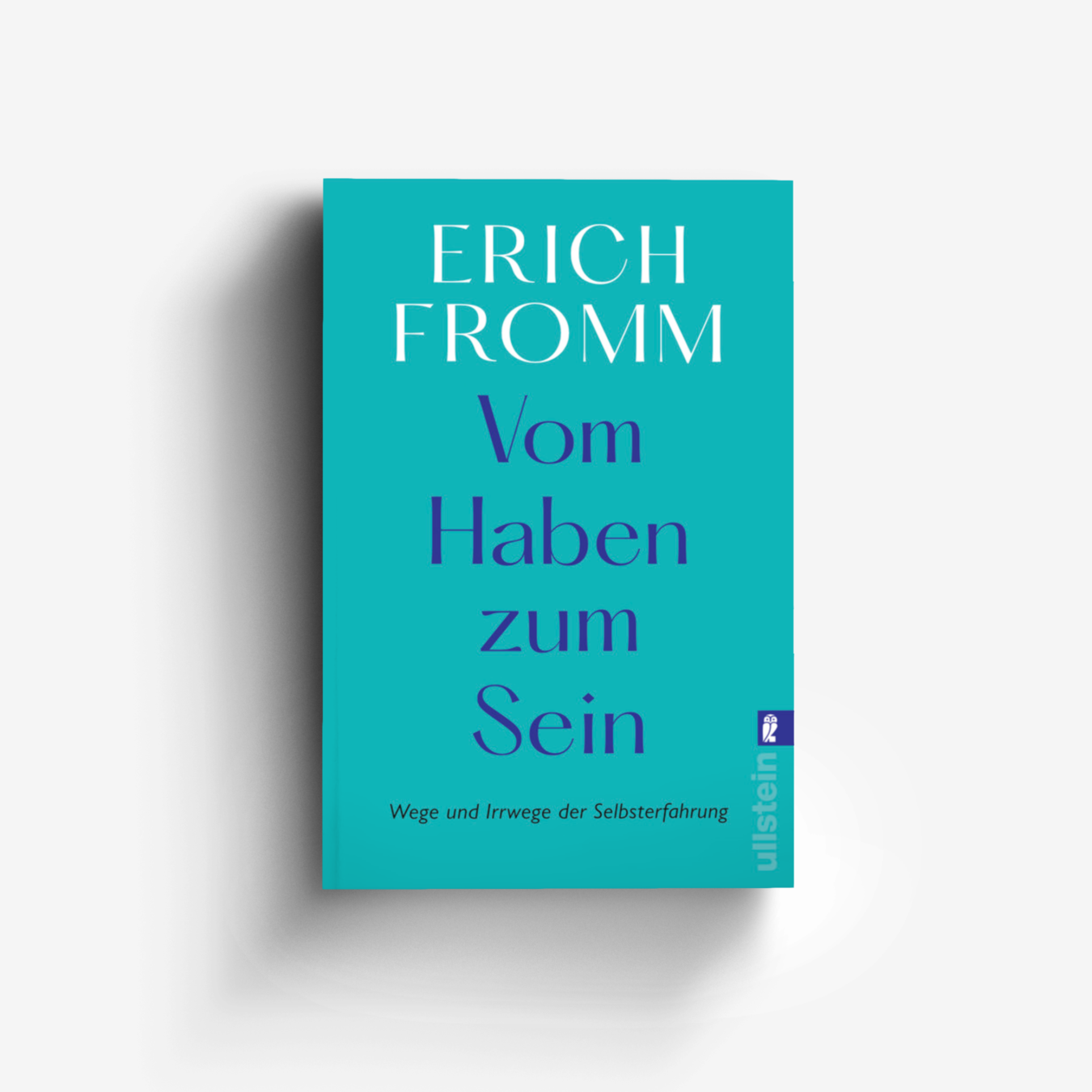 Buchcover von Vom Haben zum Sein