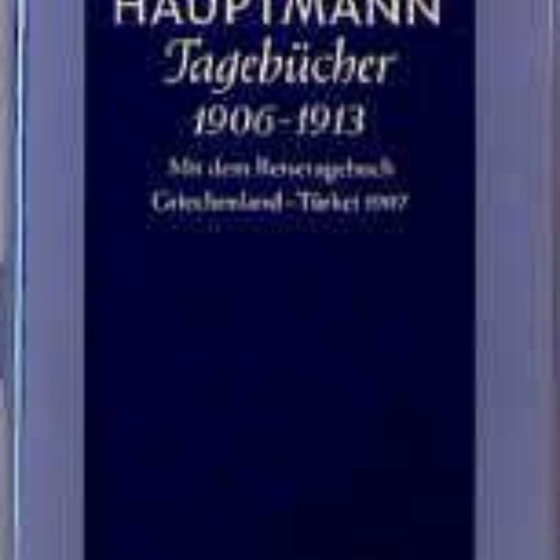Buchcover von Tagebücher 1906 bis 1913