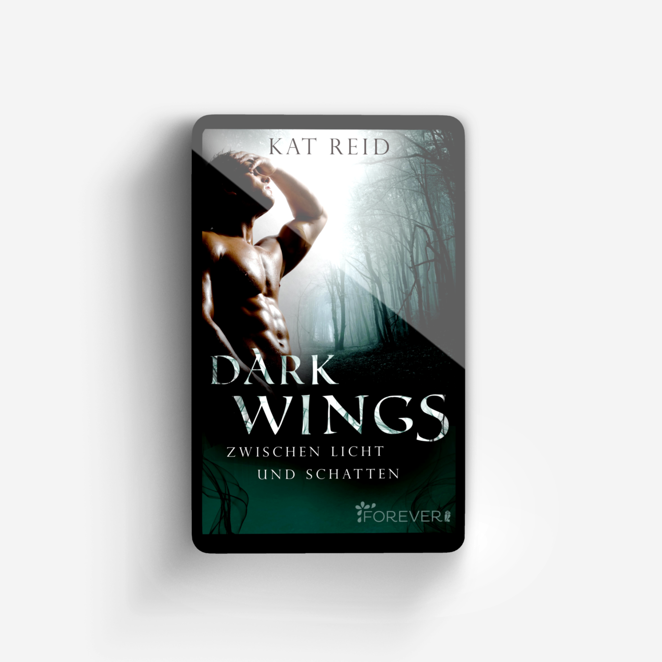 Buchcover von Dark Wings