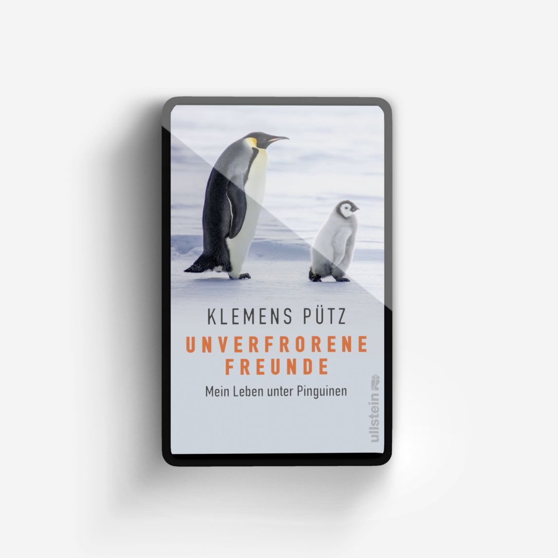 Buchcover von Unverfrorene Freunde