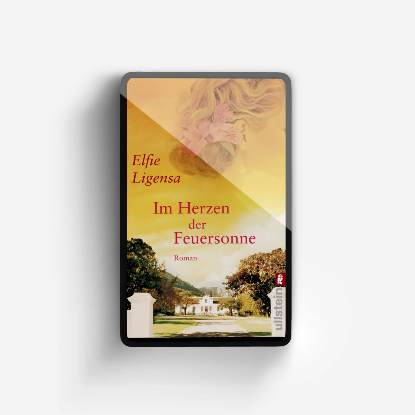 Buchcover von Im Herzen der Feuersonne (Ein Südafrika-Roman 1)