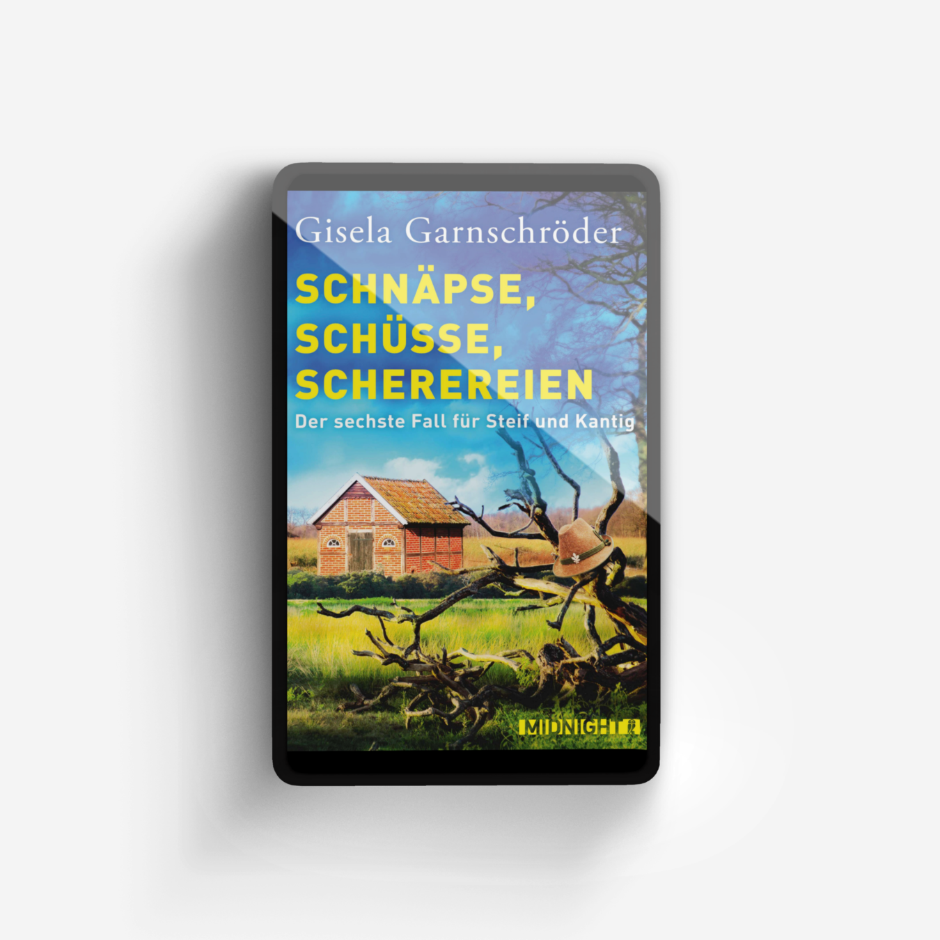 Buchcover von Schnäpse, Schüsse, Scherereien (Ein-Steif-und-Kantig-Krimi 6)