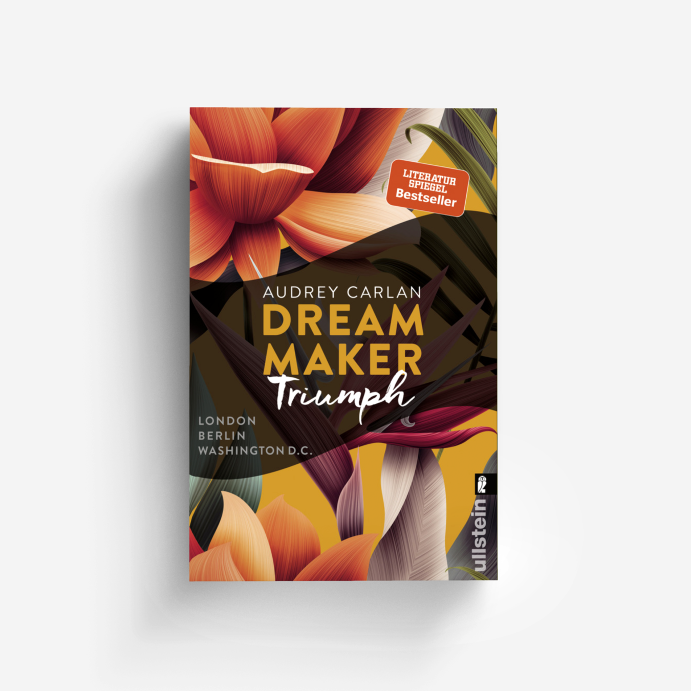 Buchcover von Dream Maker - Triumph (The Dream Maker 3)