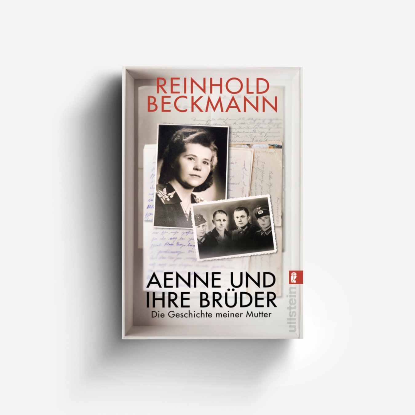 Buchcover von Aenne und ihre Brüder