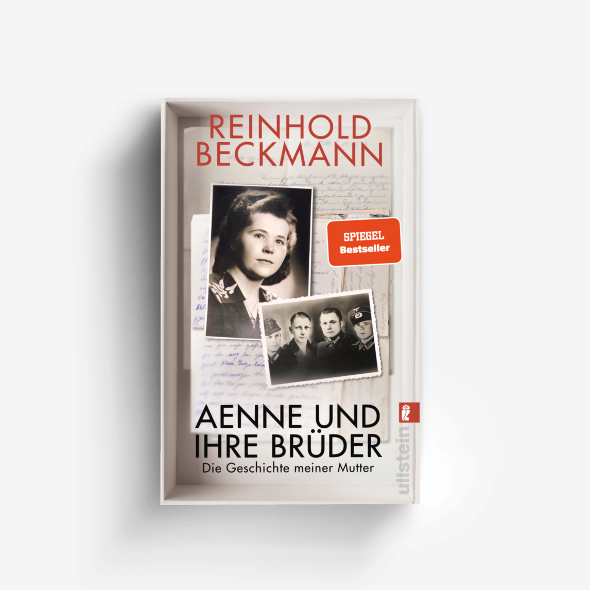 Buchcover von Aenne und ihre Brüder