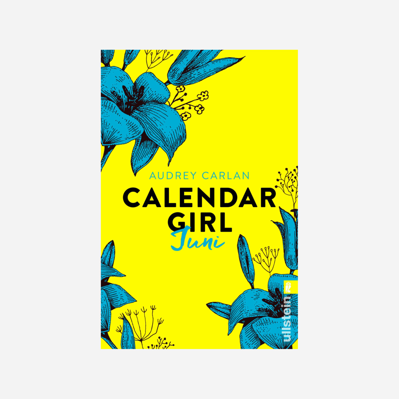 Buchcover von Calendar Girl Juni (Calendar Girl Buch 6)