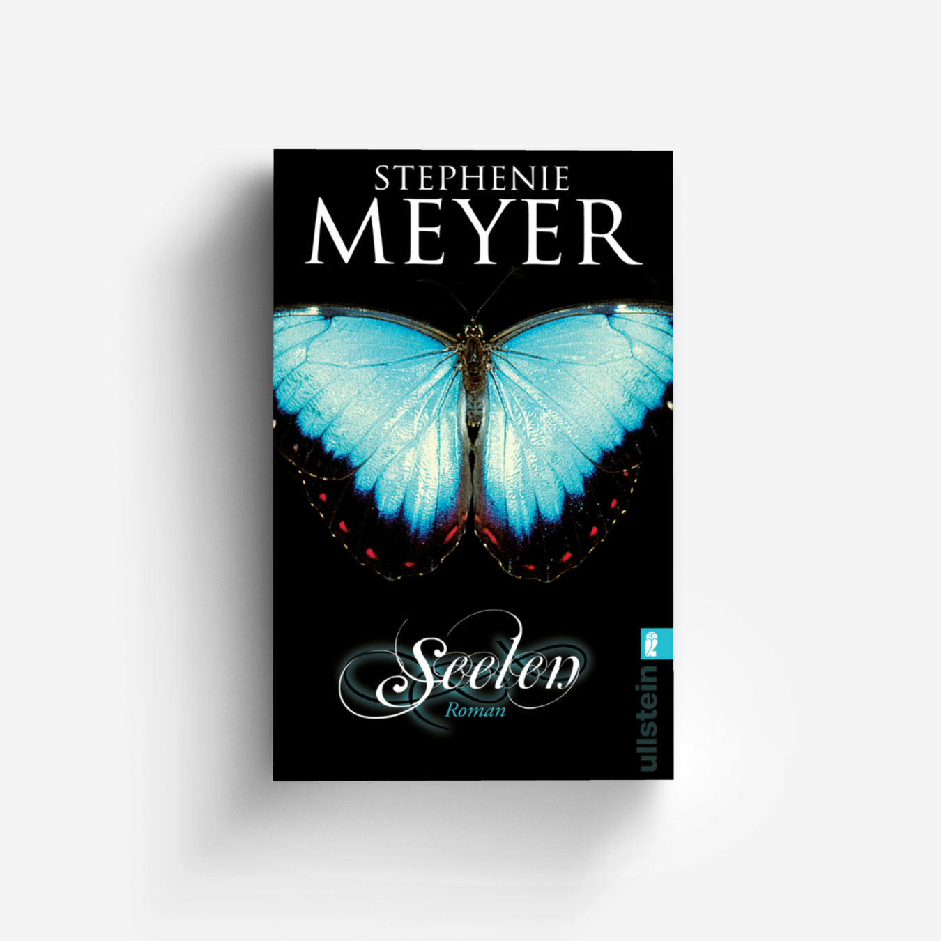 Buchcover von Seelen