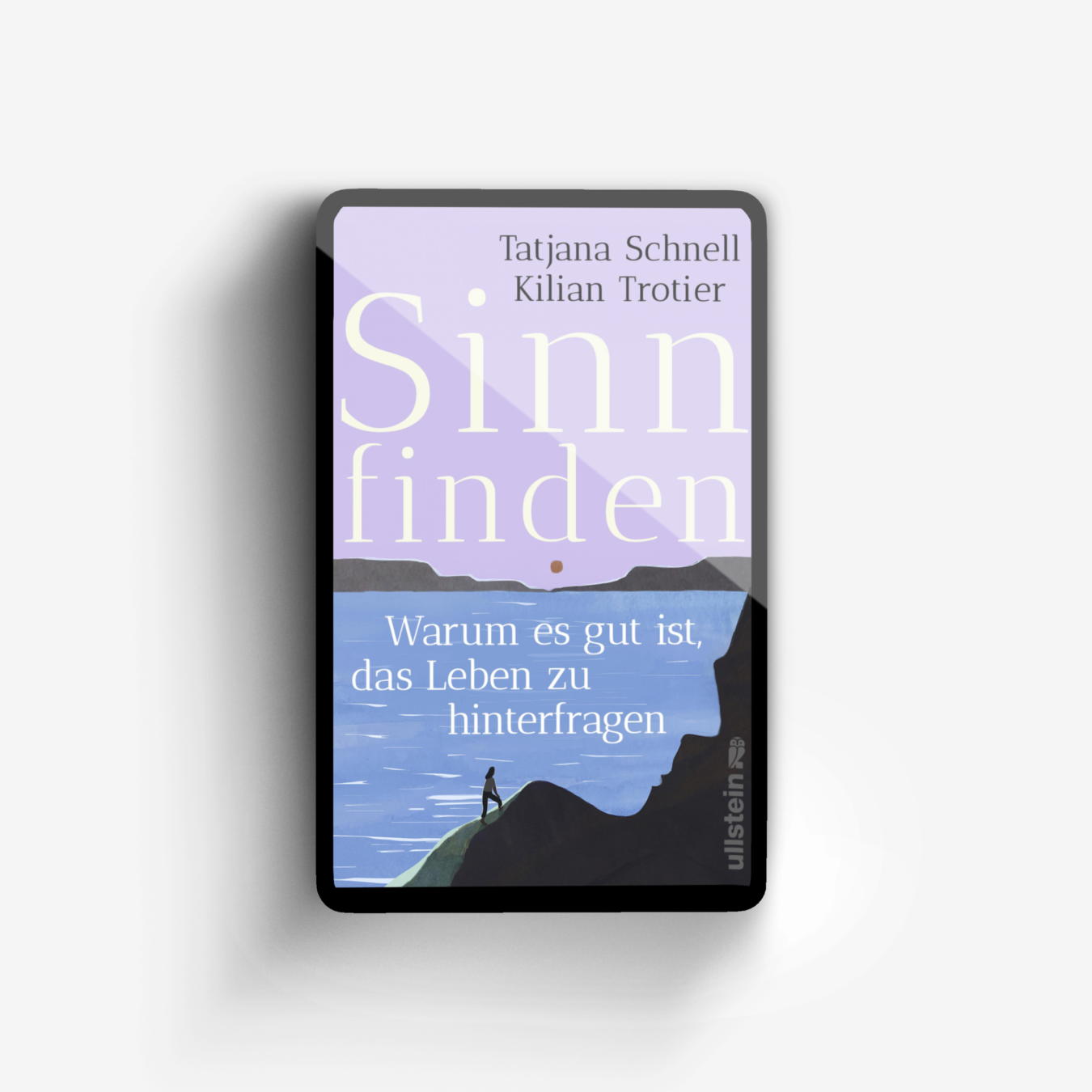 Buchcover von Sinn finden