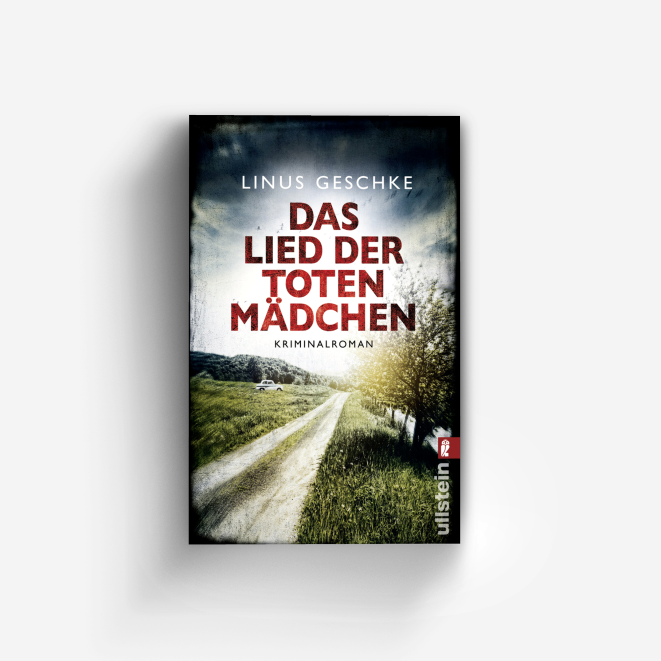 Buchcover von Das Lied der toten Mädchen (Jan-Römer-Krimi 3)