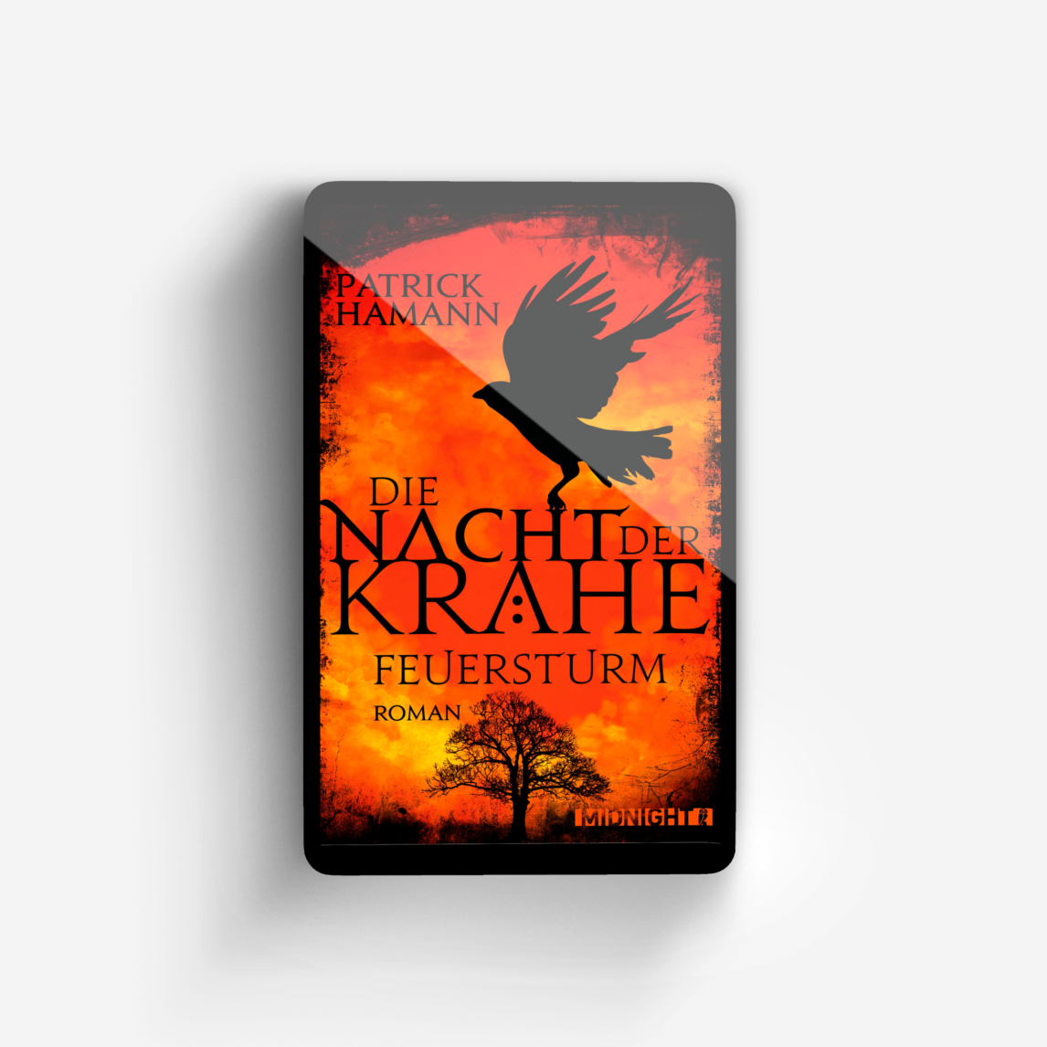 Buchcover von Die Nacht der Krähe – Feuersturm ("Die Nacht der Krähe" 2)